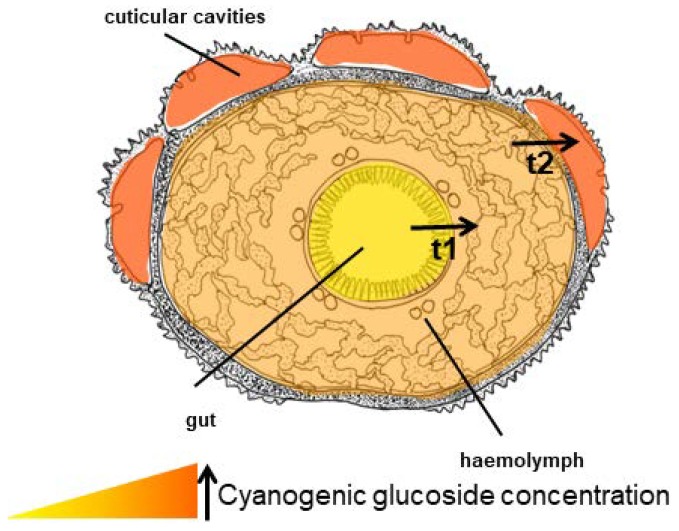 Figure 17