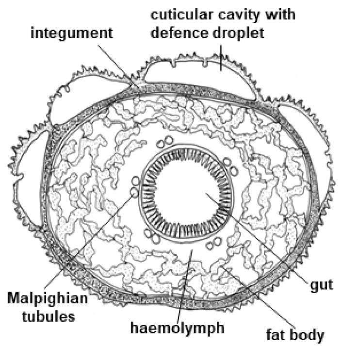 Figure 14