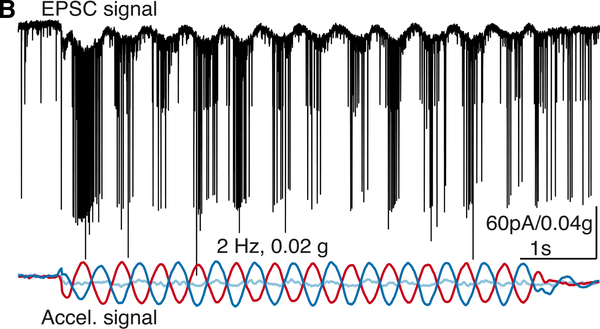 Figure 1B.