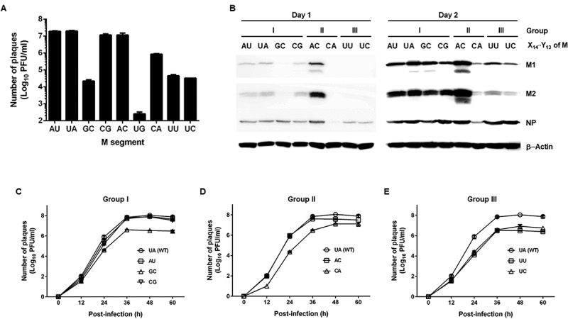 Figure 6.