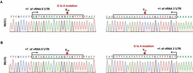 Figure 7.