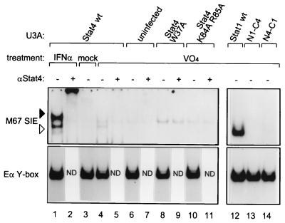 FIG. 5