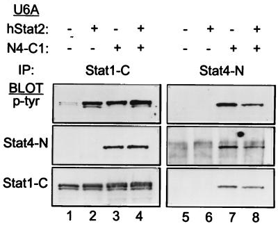 FIG. 7