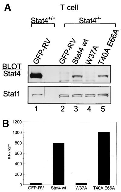 FIG. 6