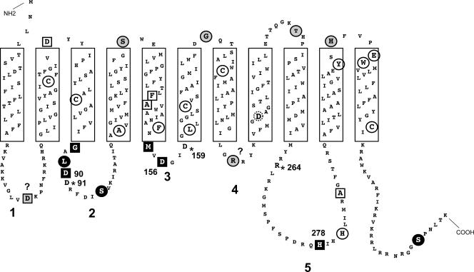 FIG. 7.