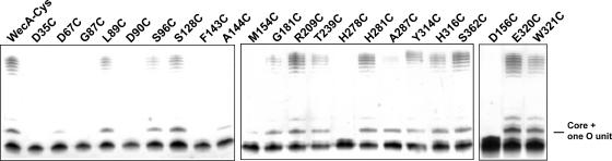 FIG. 10.