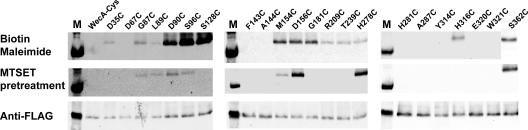 FIG. 8.