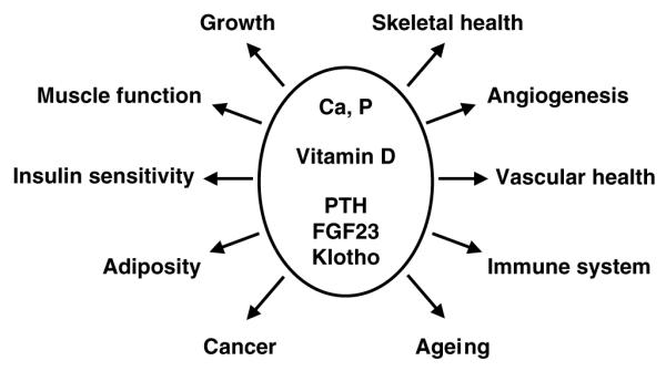 Fig. 5