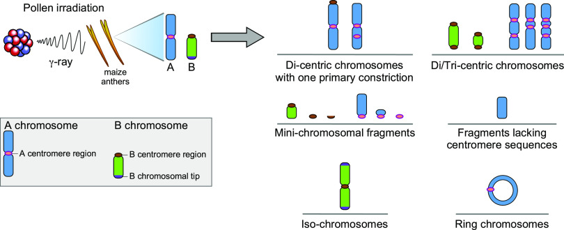 Figure 6.