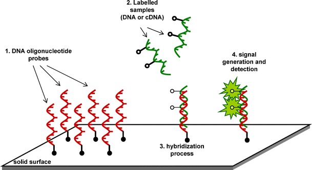 Fig. 1