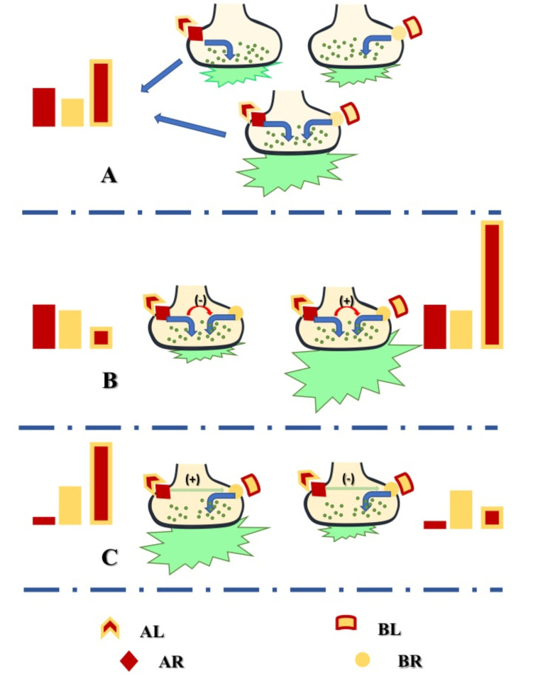 Fig. (1)