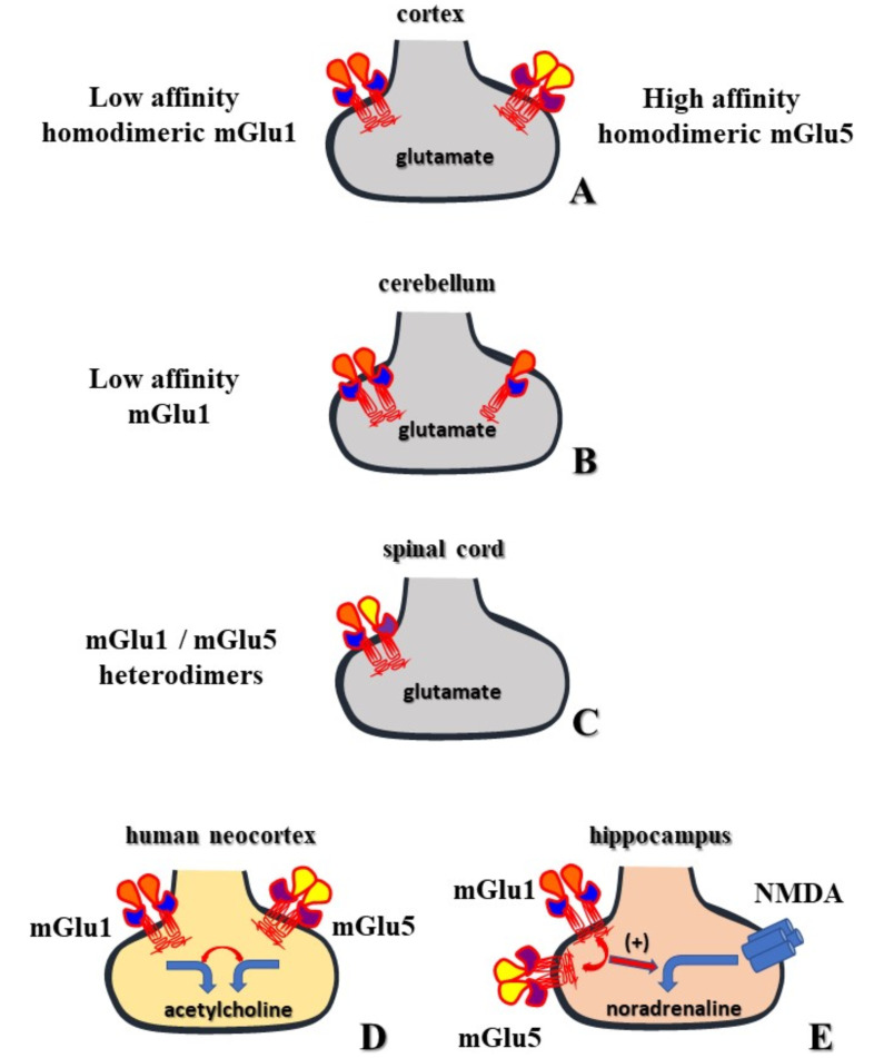 Fig. (2)