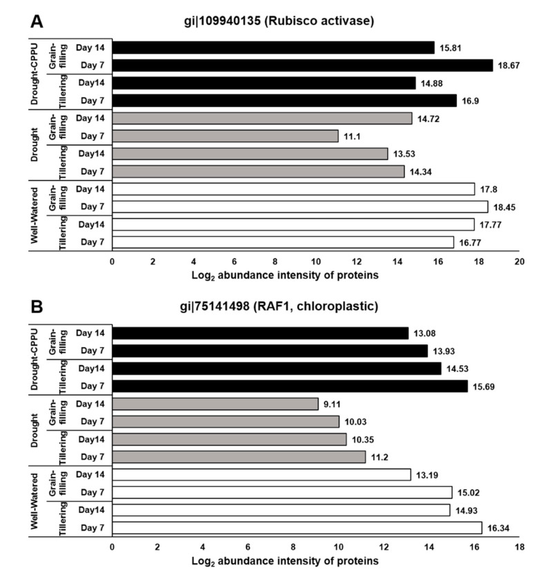 Figure 10