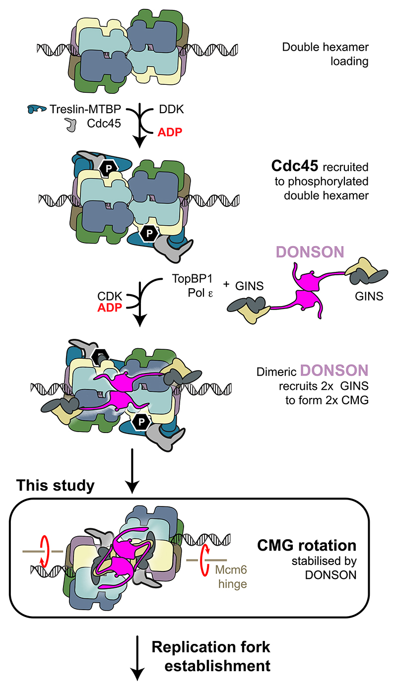 Figure 7