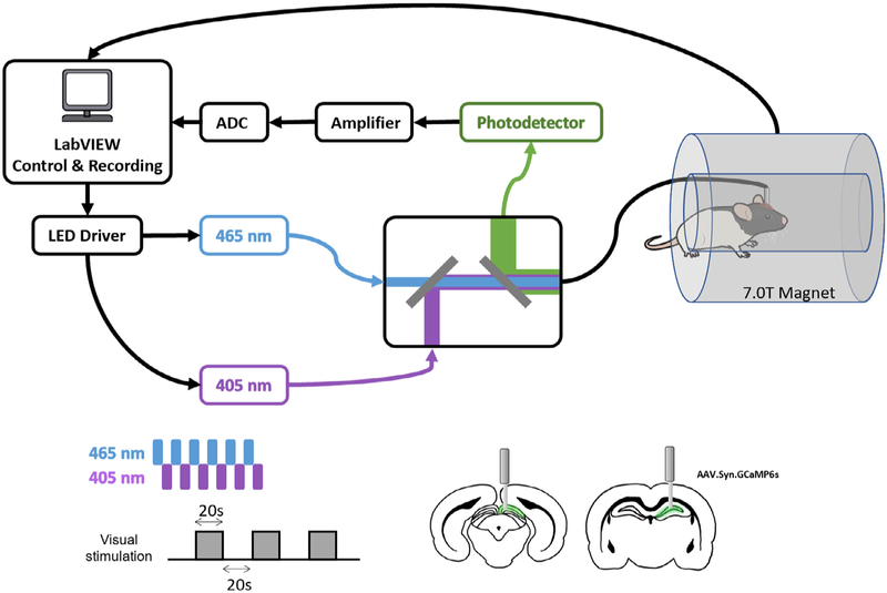 Fig. 1.