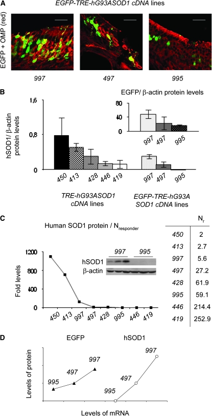 Figure 3.—