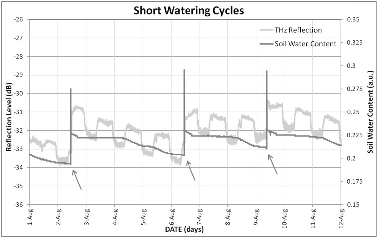 FIGURE 4