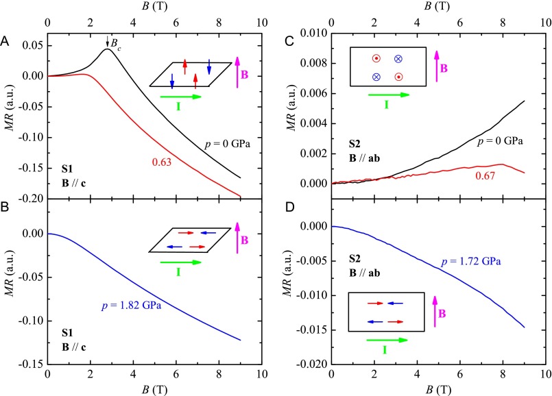 Fig. S5.