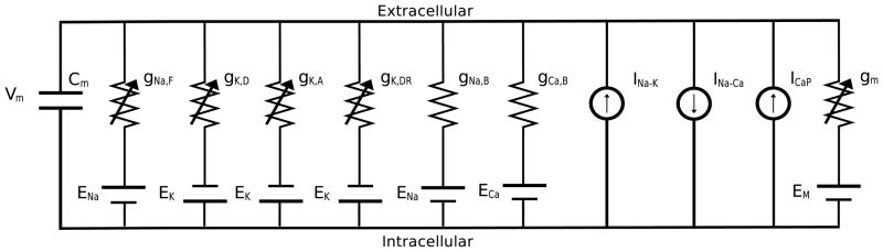 Fig. 2