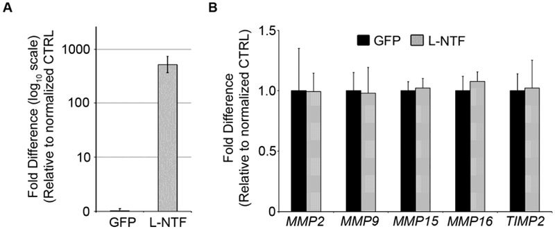 Figure 5.