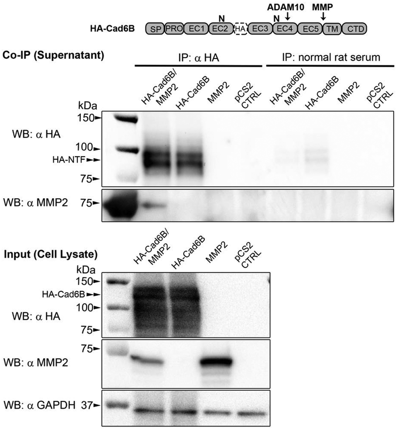 Figure 6.