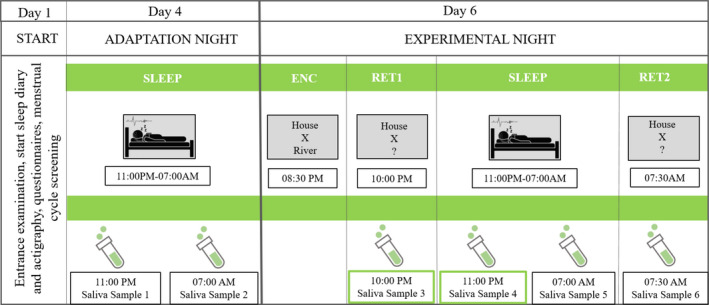 FIGURE 1