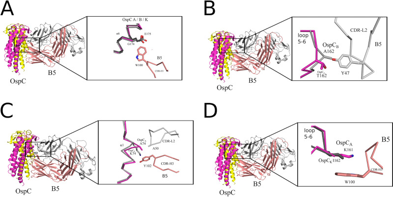 FIG 5