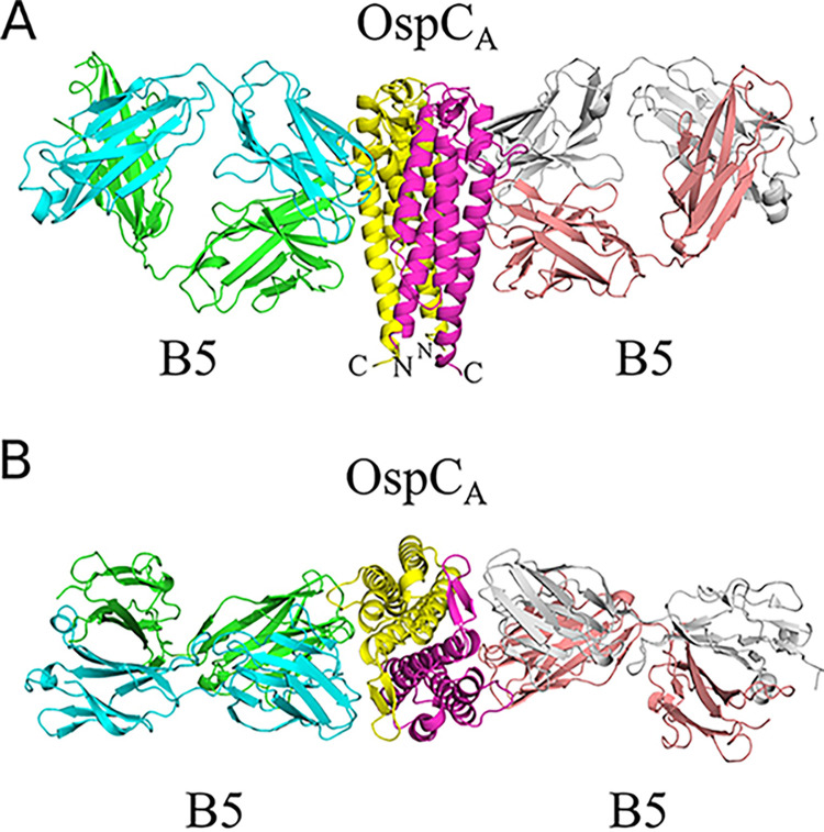 FIG 3