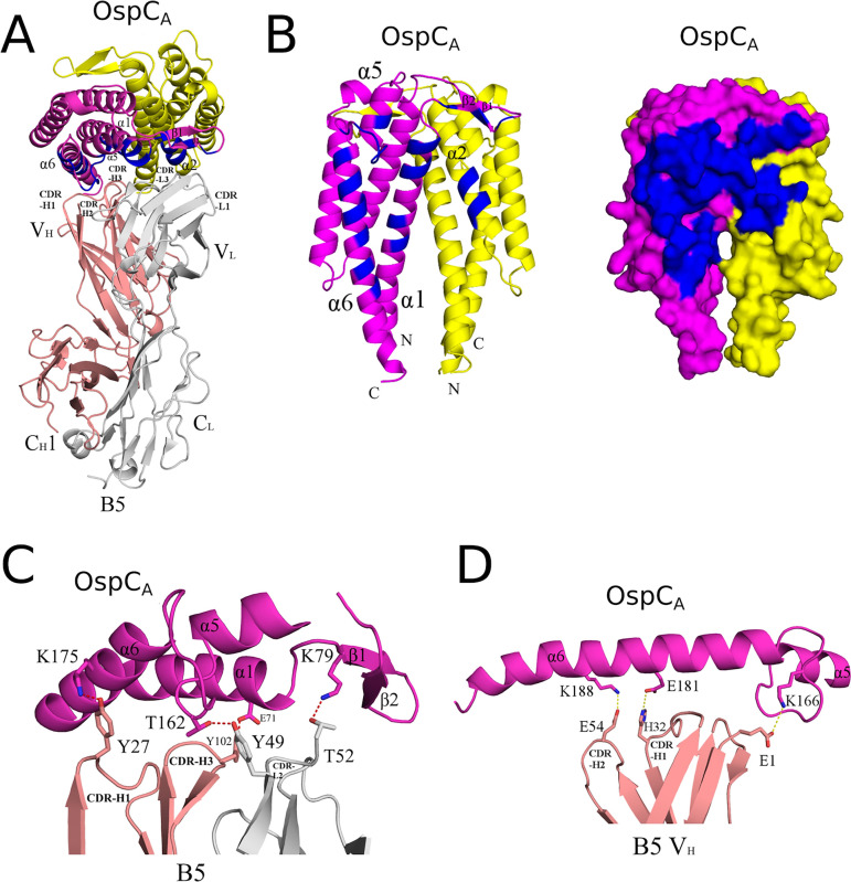 FIG 4