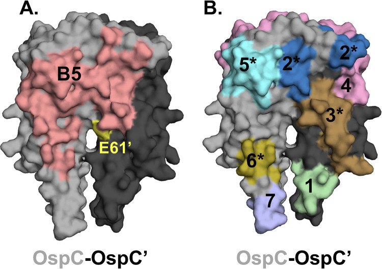 FIG 6