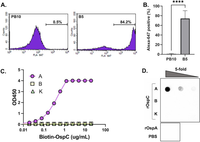 FIG 1