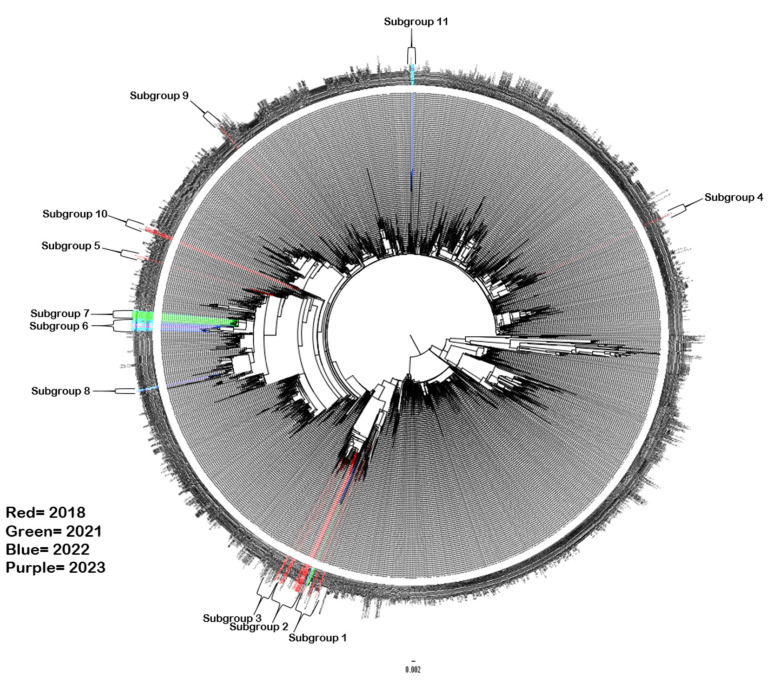 Figure 2