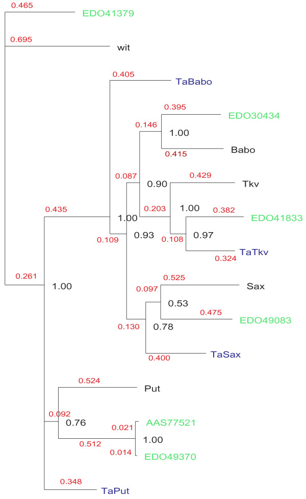 Figure 5