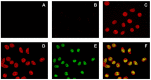 Figure 10.