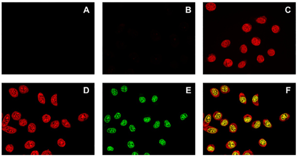 Figure 10.