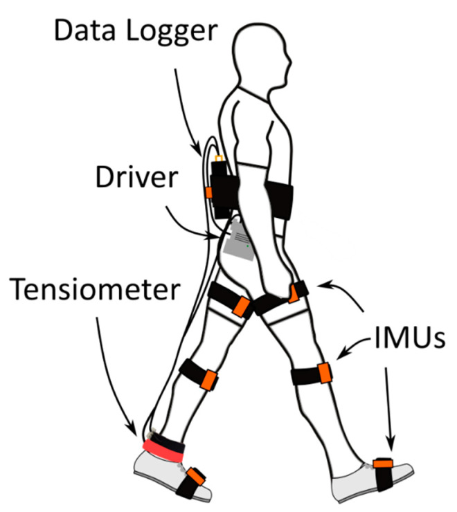 Figure 2