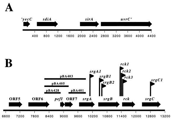 FIG. 1