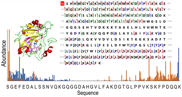 graphic file with name nihms-1733759-f0001.jpg