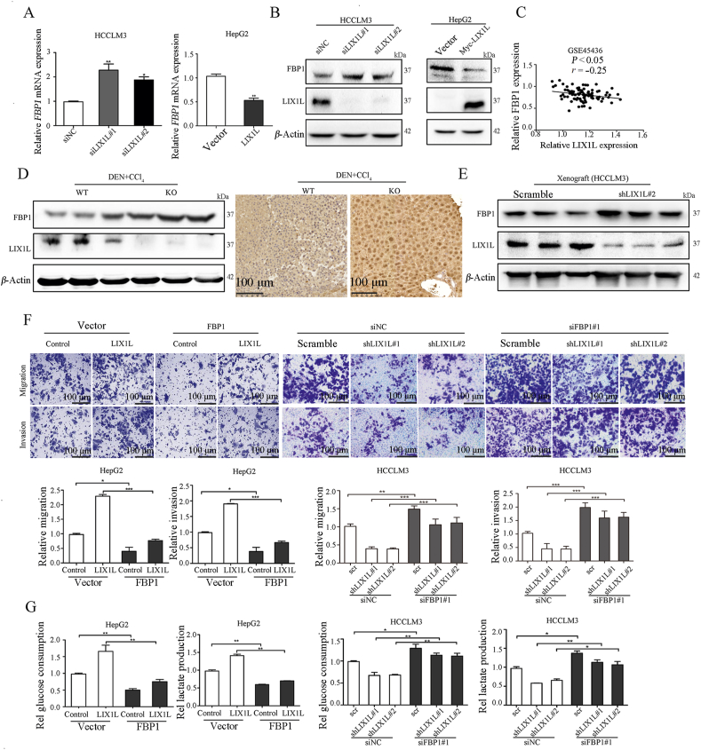 Figure 6