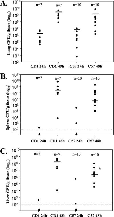 FIG. 2.