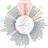 FIG 4