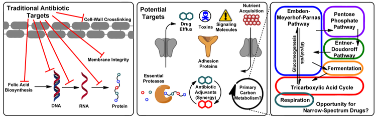 Figure 1: