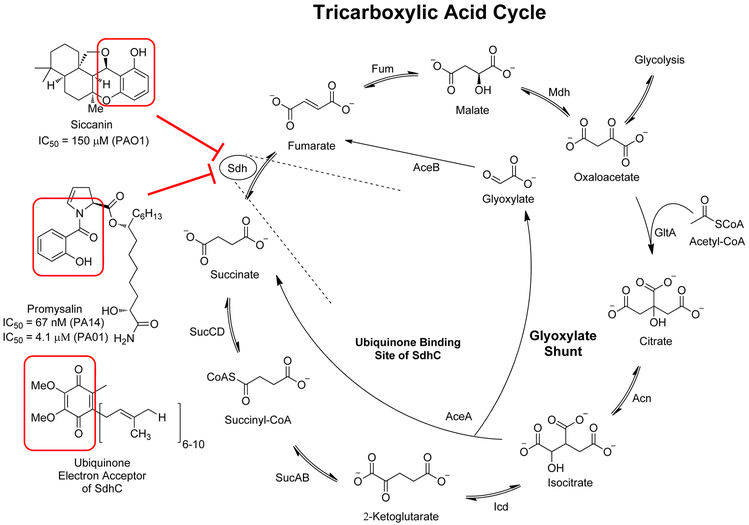 Figure 3: