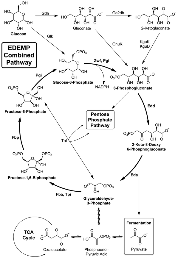 Figure 2: