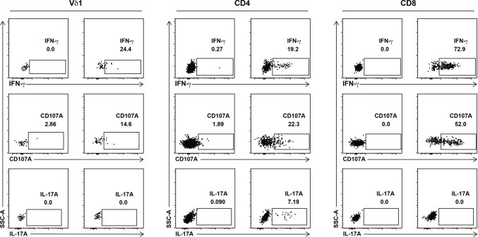 Extended Data Fig. 5