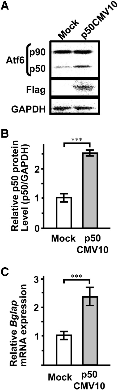 Fig. 7