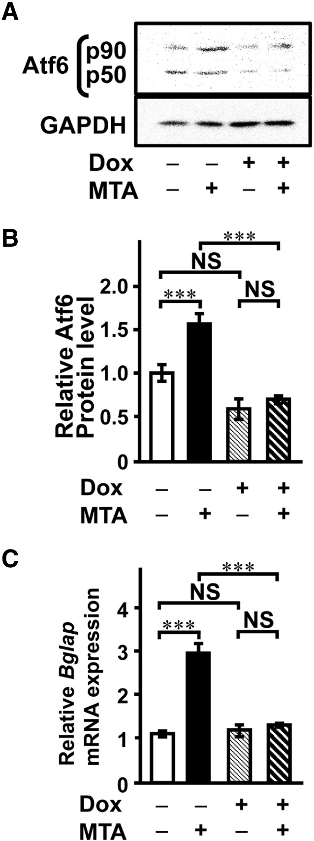 Fig. 8