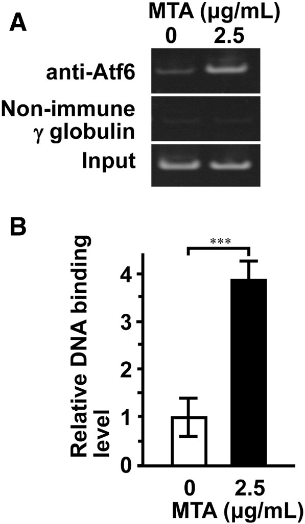 Fig. 6