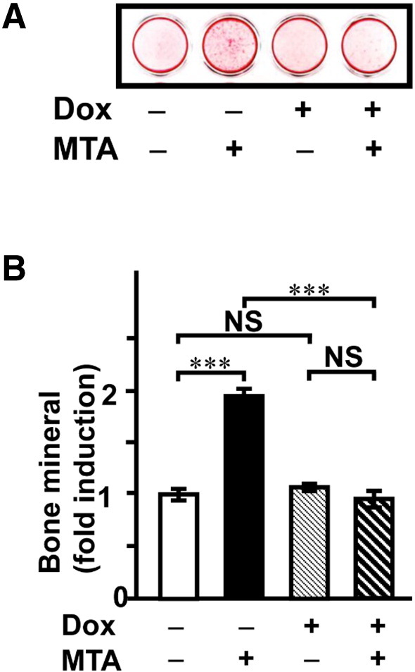 Fig. 9