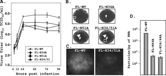 FIG. 3.